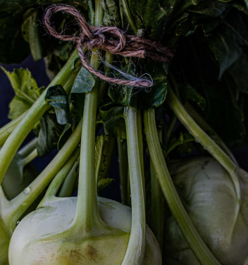 KOHLRABI